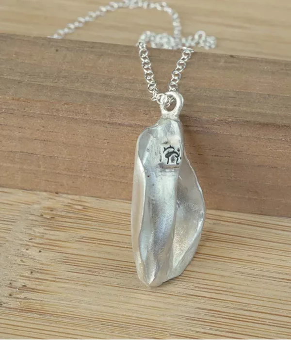 Vulva-2